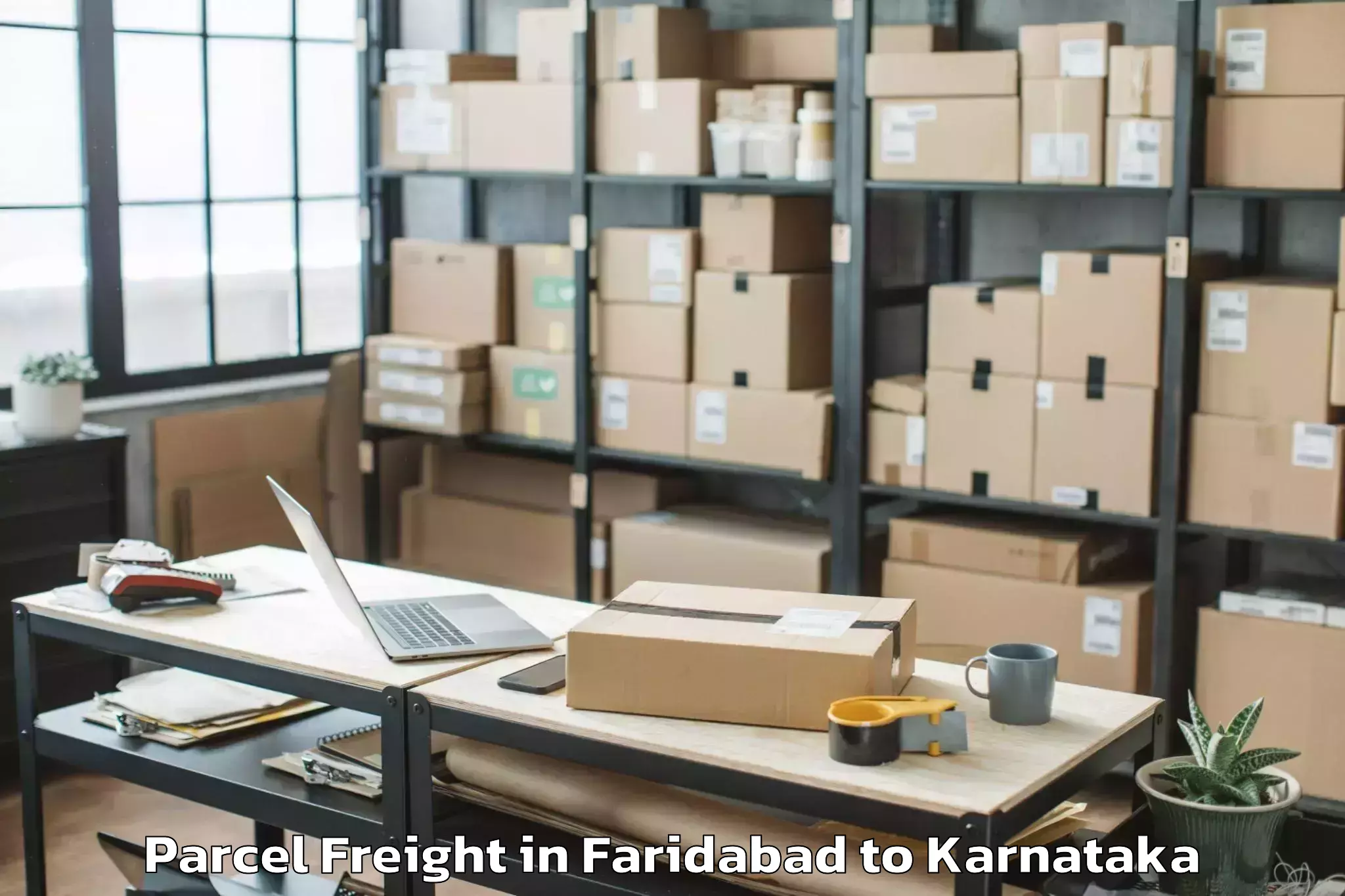 Book Faridabad to Holalkere Rural Parcel Freight